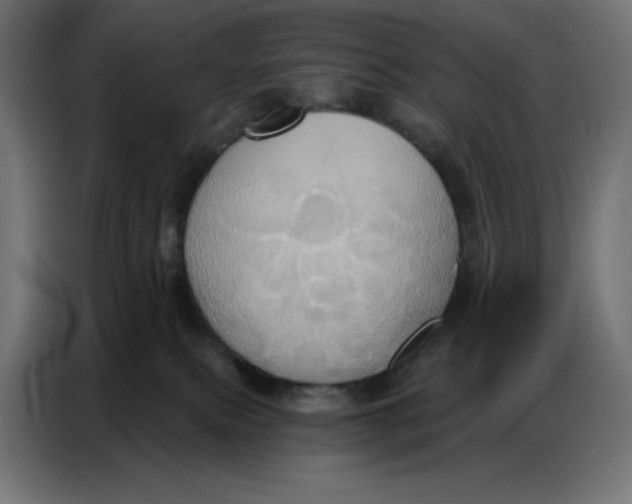 X0000086750087200705041436