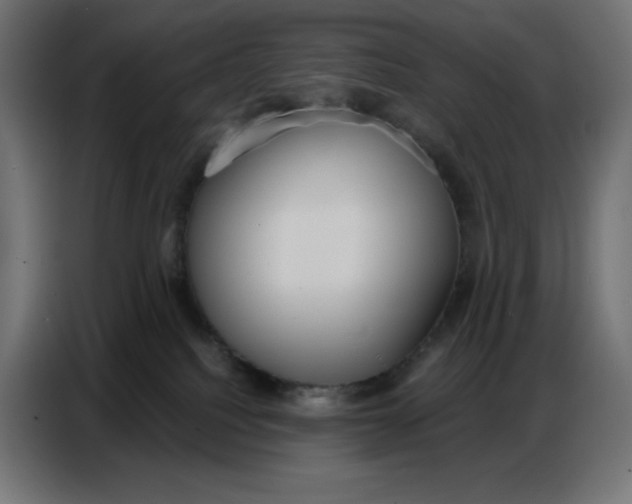 X0000086750088200705041436