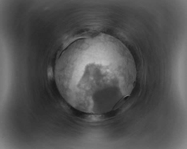 X0000086750089200705041436