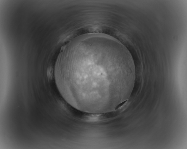 X0000086750090200705041436