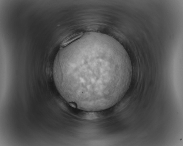 X0000086750091200705041436