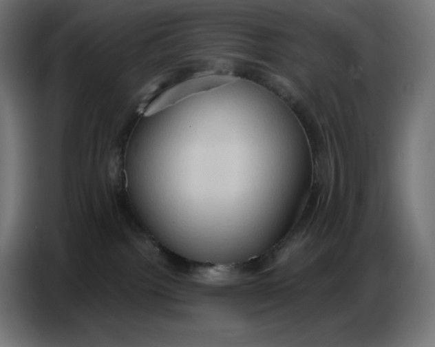 X0000086750092200705041436