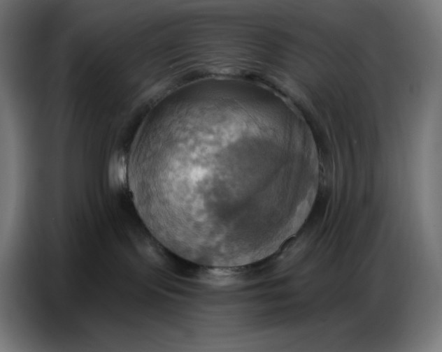 X0000086750095200705041436