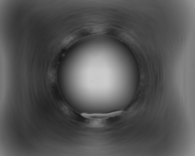 X0000086750096200705041436