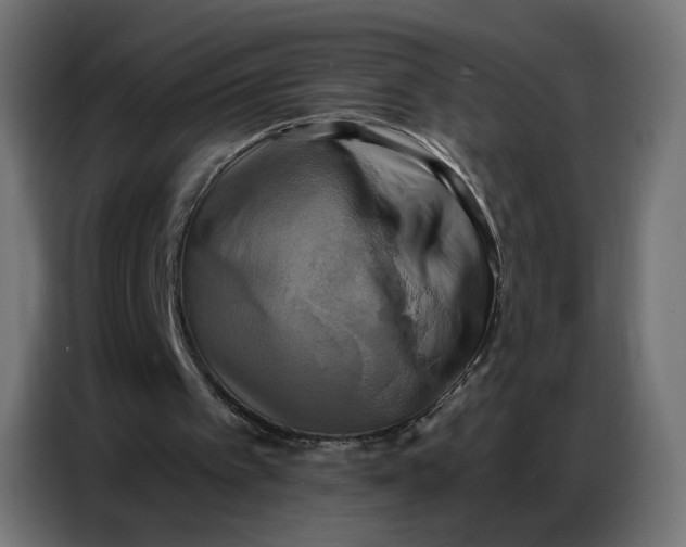 X0000086750097200705041435