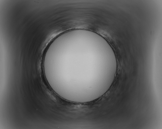 X0000086750098200705041435