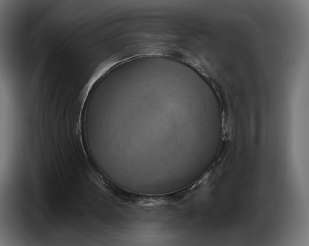 X0000086750099200705041435