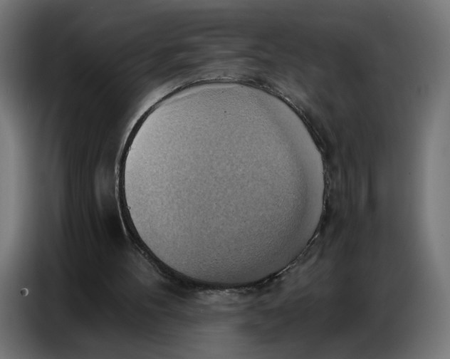 X0000086750100200705041435