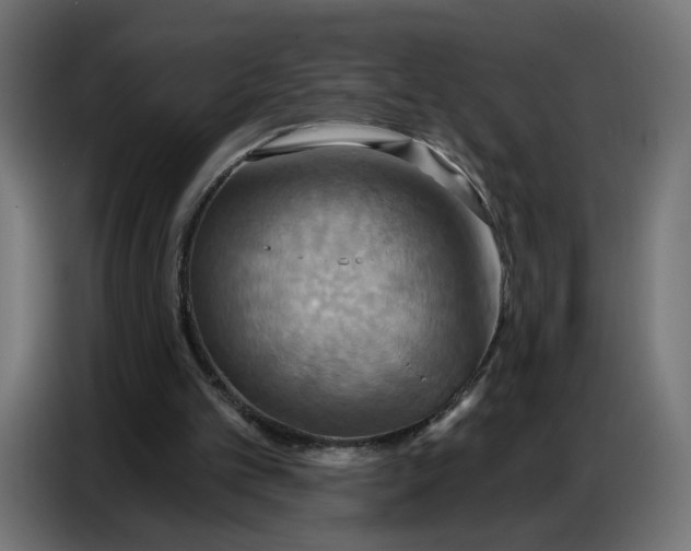 X0000086750101200705041435