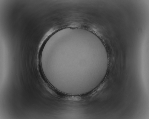 X0000086750102200705041435