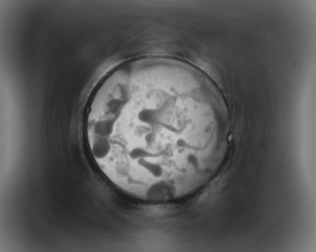 X0000086750103200705041435