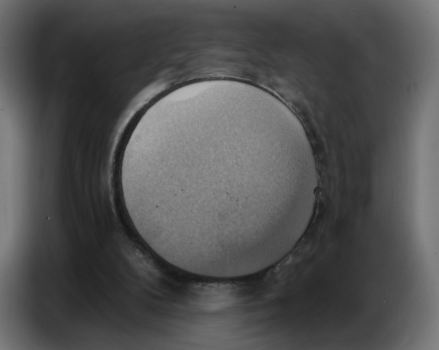 X0000086750104200705041435