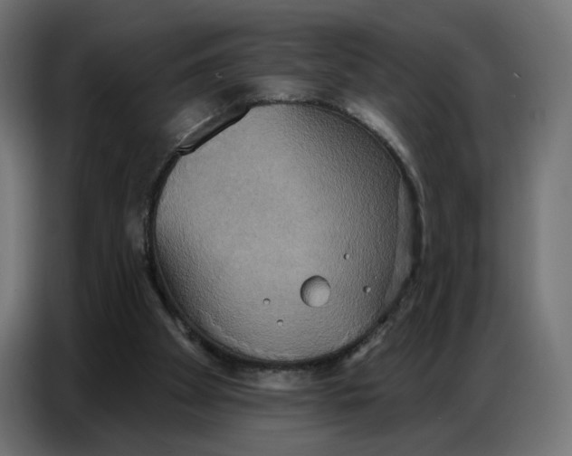 X0000086750105200705041435