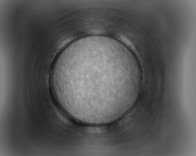 X0000086750106200705041435