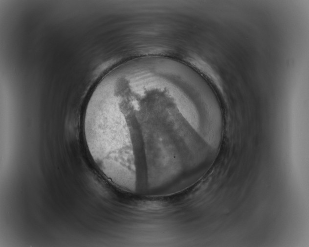 X0000086750107200705041435