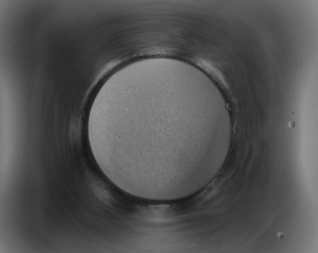 X0000086750108200705041435