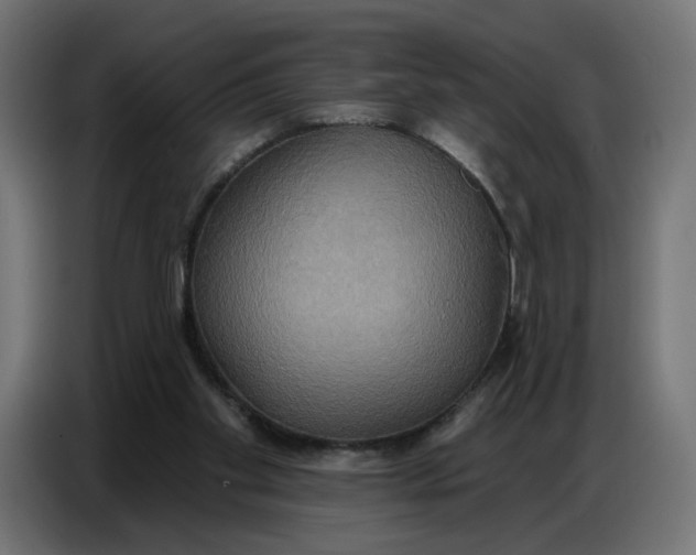 X0000086750109200705041435