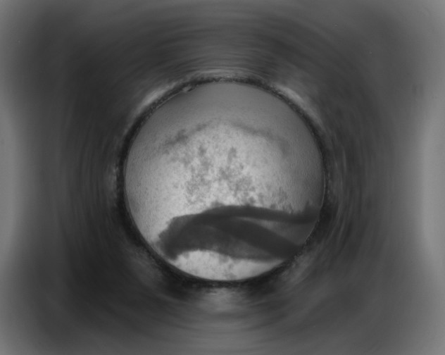 X0000086750111200705041435