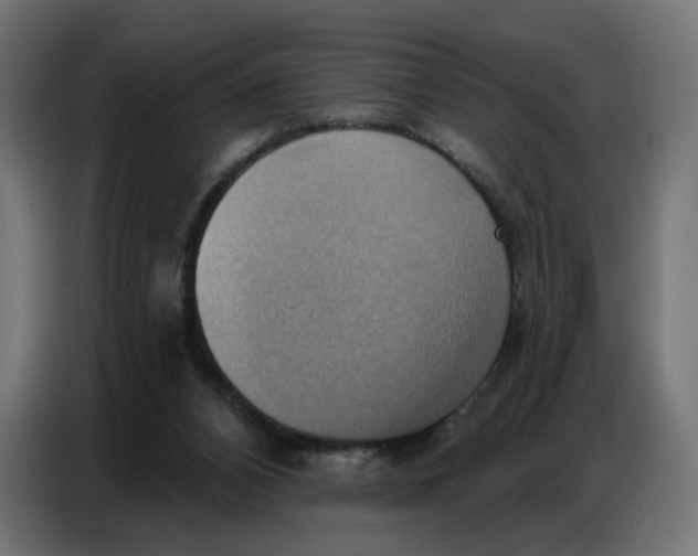 X0000086750112200705041435