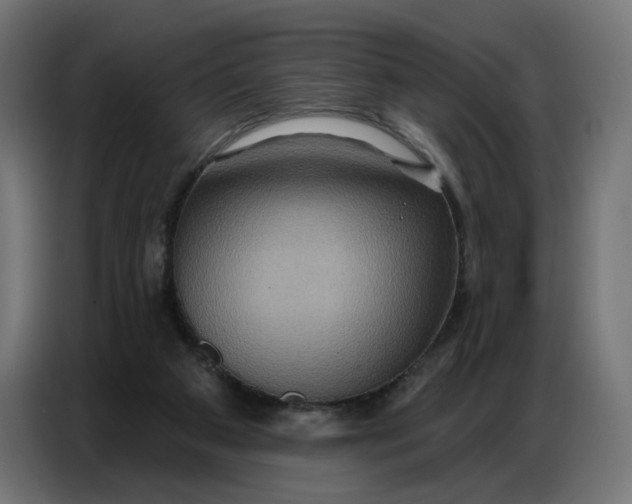 X0000086750113200705041435