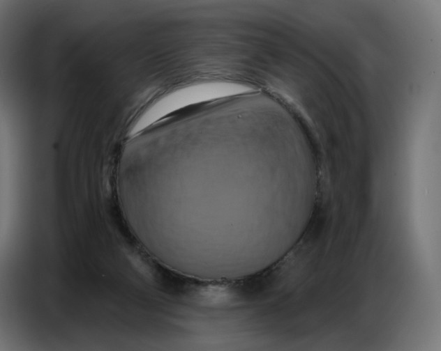 X0000086750114200705041435