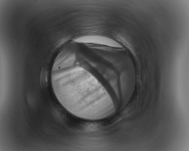 X0000086750115200705041435