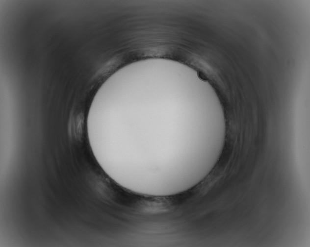 X0000086750118200705041435