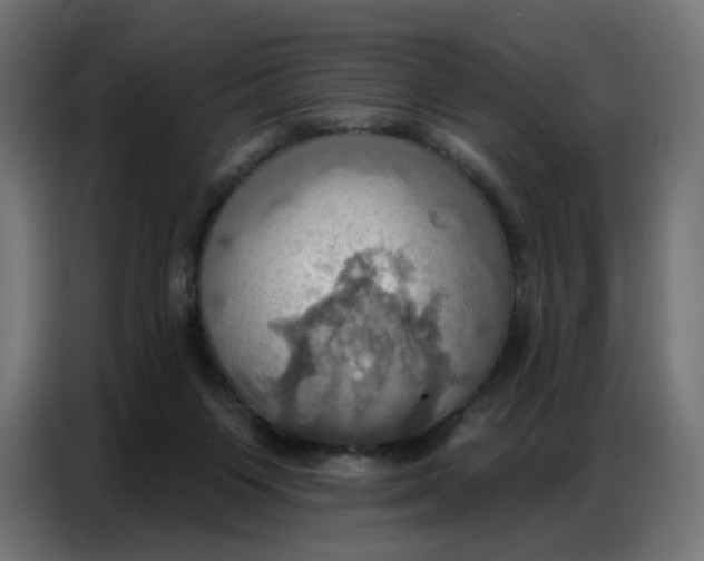 X0000086750119200705041435