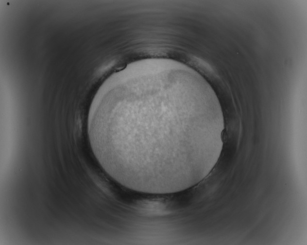 X0000086750120200705041435