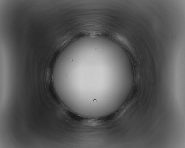 X0000086750121200705041435