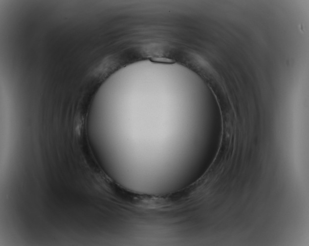 X0000086750125200705041435