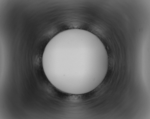 X0000086750126200705041435