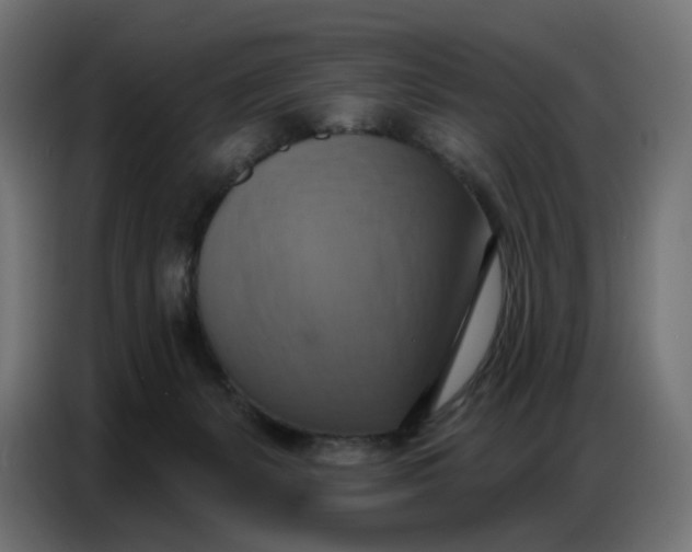 X0000086750127200705041435