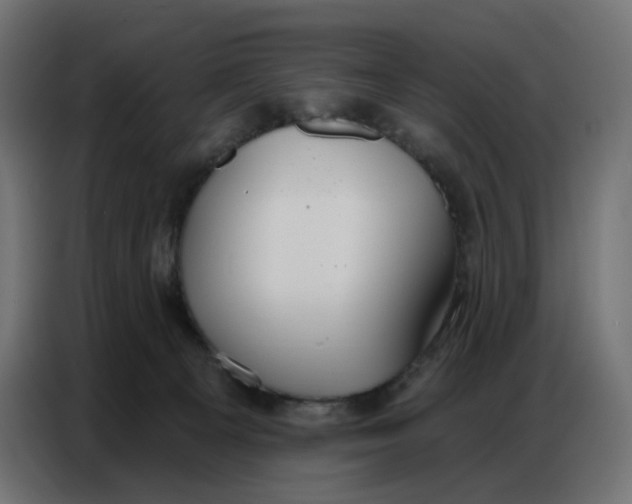 X0000086750129200705041435