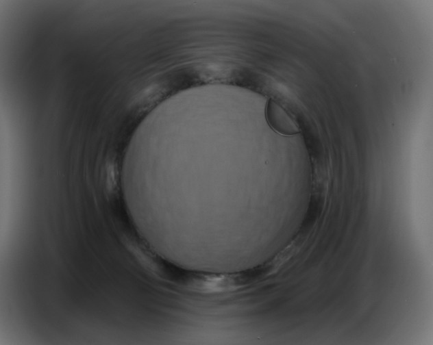 X0000086750130200705041435