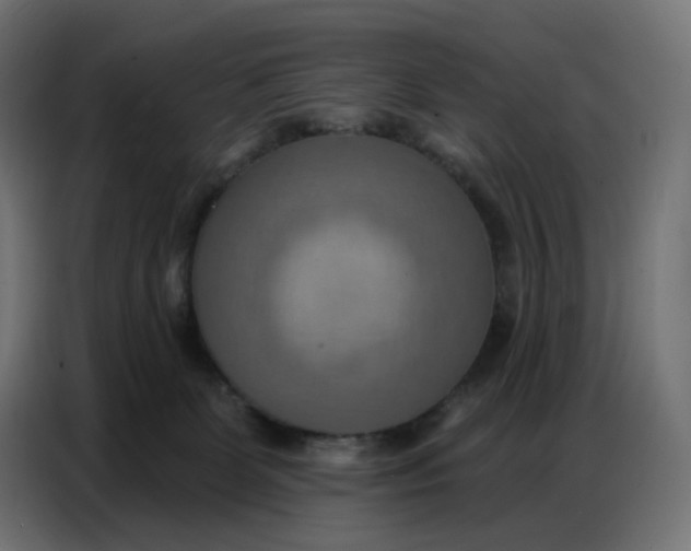 X0000086750131200705041435