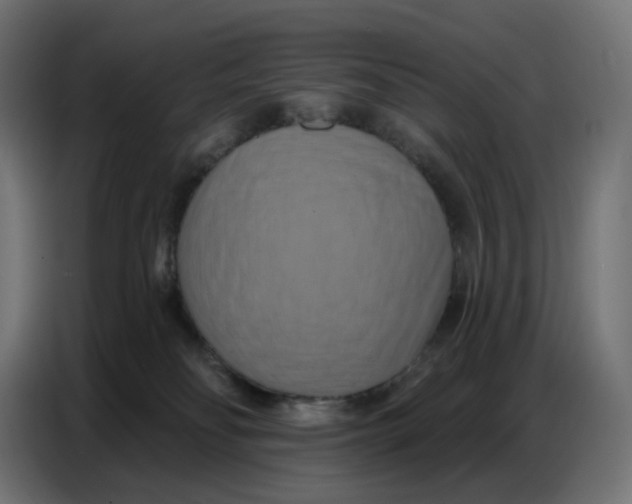 X0000086750134200705041435