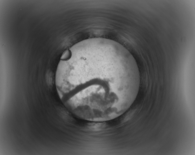 X0000086750135200705041435