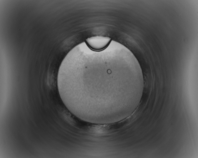 X0000086750136200705041435