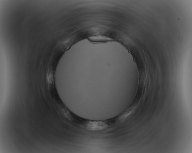 X0000086750137200705041435