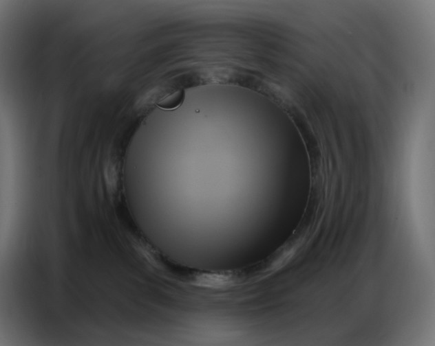 X0000086750139200705041435