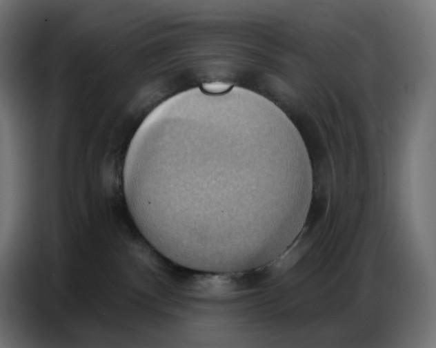 X0000086750140200705041435