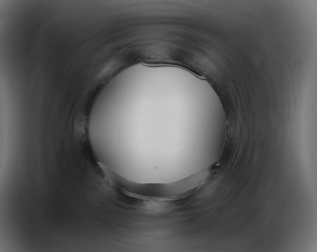 X0000086750141200705041435