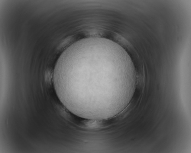 X0000086750142200705041435