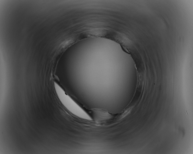 X0000086750143200705041435