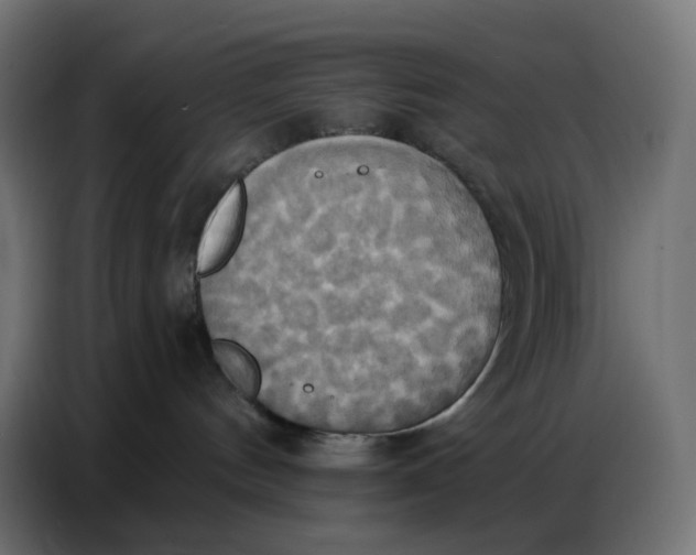 X0000086750144200705041435