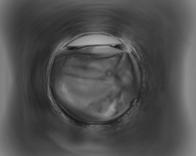 X0000086750145200705041434