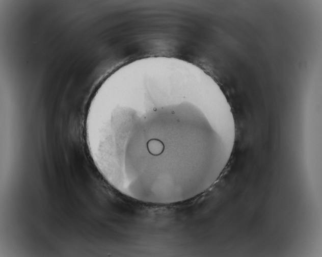 X0000086750146200705041434