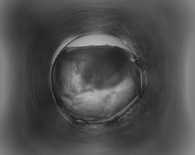 X0000086750147200705041434