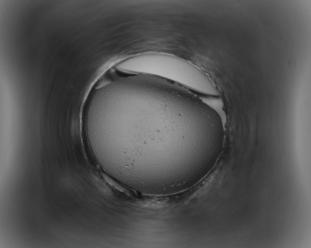 X0000086750148200705041434